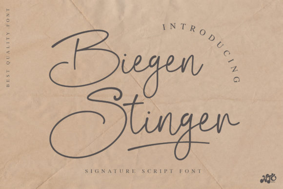 Biegen Stinger Script: A Vintage Handwritten Font