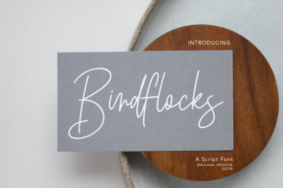 Birdflocks Script: A Stylish Display Font