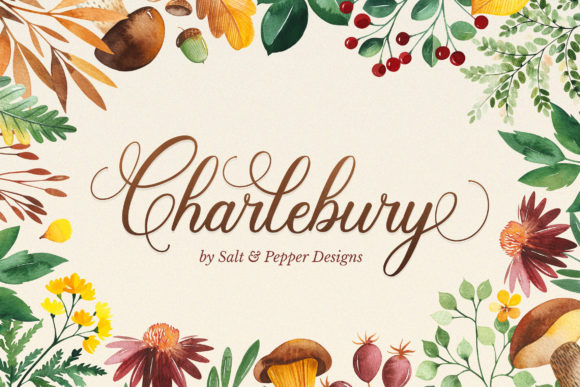 Charlbury Script: Elegant Font for Web Design