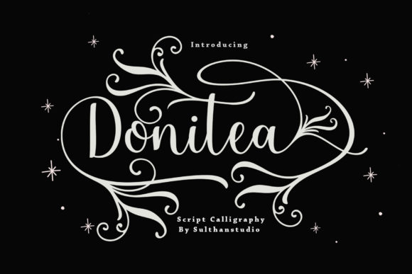 Donitea Script: A Stylish Font for Campaigns