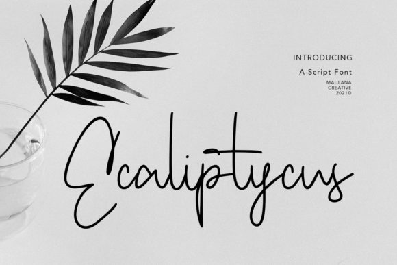 Ecaliptycus Script: A Luxurious Handwritten Font