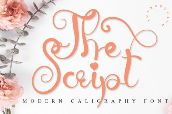 The Script: A Beautiful Font for Your Business