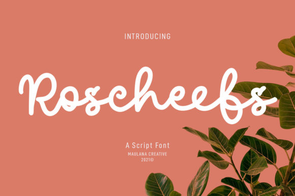 Upgrade Your Brand With Roscheefs Script
