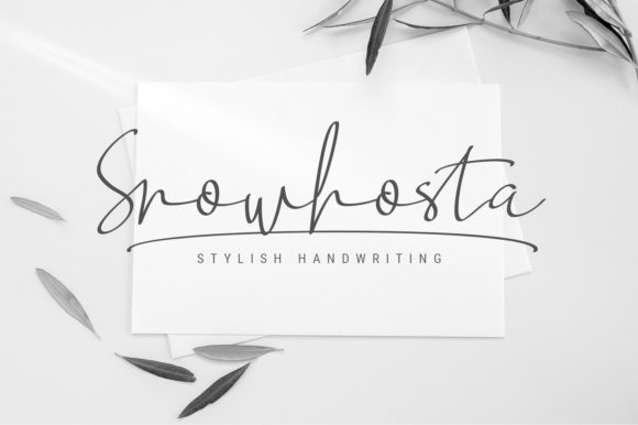 Use Snowhosta Script for Stronger Campaigns